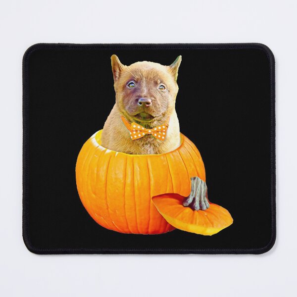 Item preview, Halloween Belgian Malinois Belgian Sheperd Pumpkin for Malinois Lovers  designed and sold by Mochi-Merch.