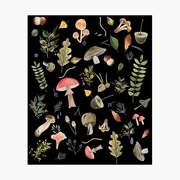 Item preview, Goblincore Mushroom Cottage Core Cottagecore Aesthetic  designed and sold by mibestshirts.
