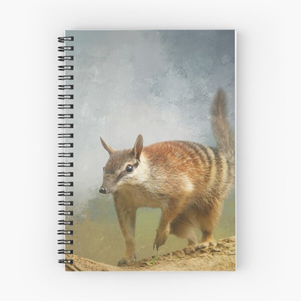 Item preview, Numbat on Branch Two designed and sold by Elisabeth Lucas.
