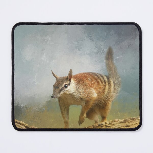 Item preview, Numbat on Branch Two designed and sold by Elisabeth Lucas.