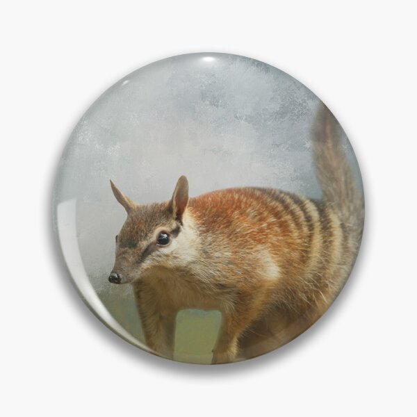 Item preview, Numbat on Branch Two designed and sold by Elisabeth Lucas.