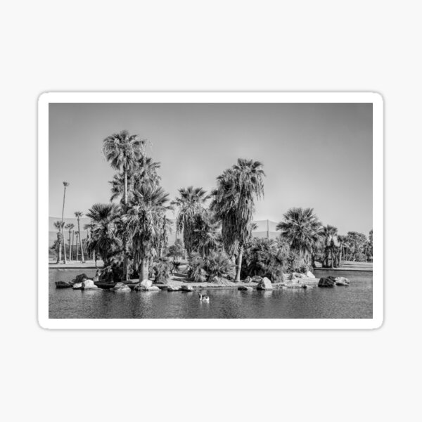 Item preview, Water in the Deert 2 BW  designed and sold by Elisabeth Lucas.