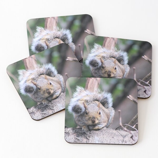 Item preview, STAREDOWN designed and sold by BOLLA67.
