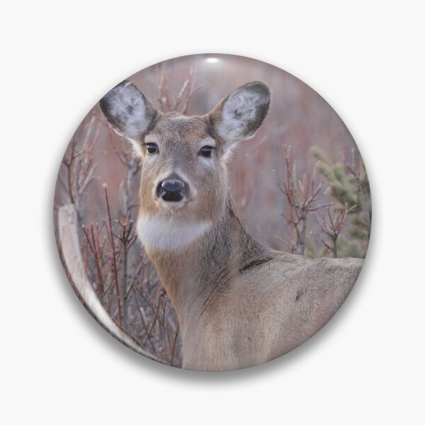 Item preview, White Tailed Doe designed and sold by Alyce Taylor.