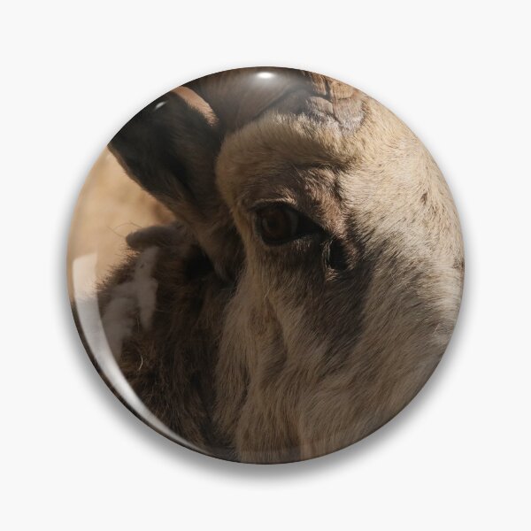Item preview, Ram designed and sold by Alyce Taylor.