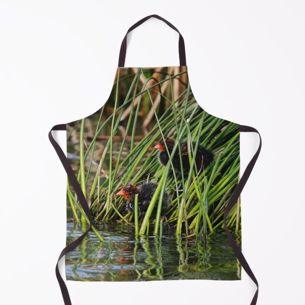 Item preview, Coot Chicks designed and sold by Alyce Taylor.