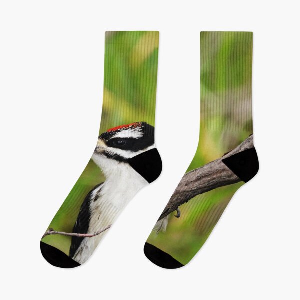 Item preview, Juvenile Hairy Woodpecker designed and sold by Alyce Taylor.