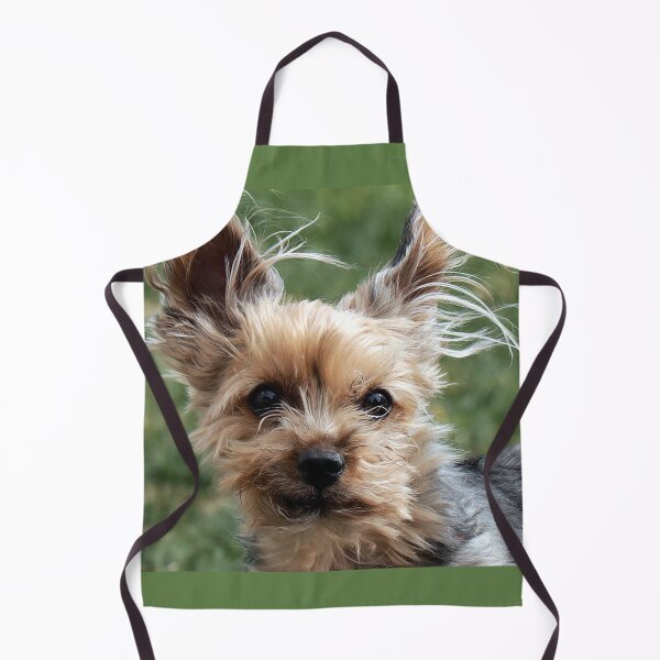 Item preview, Lucy designed and sold by Alyce Taylor.