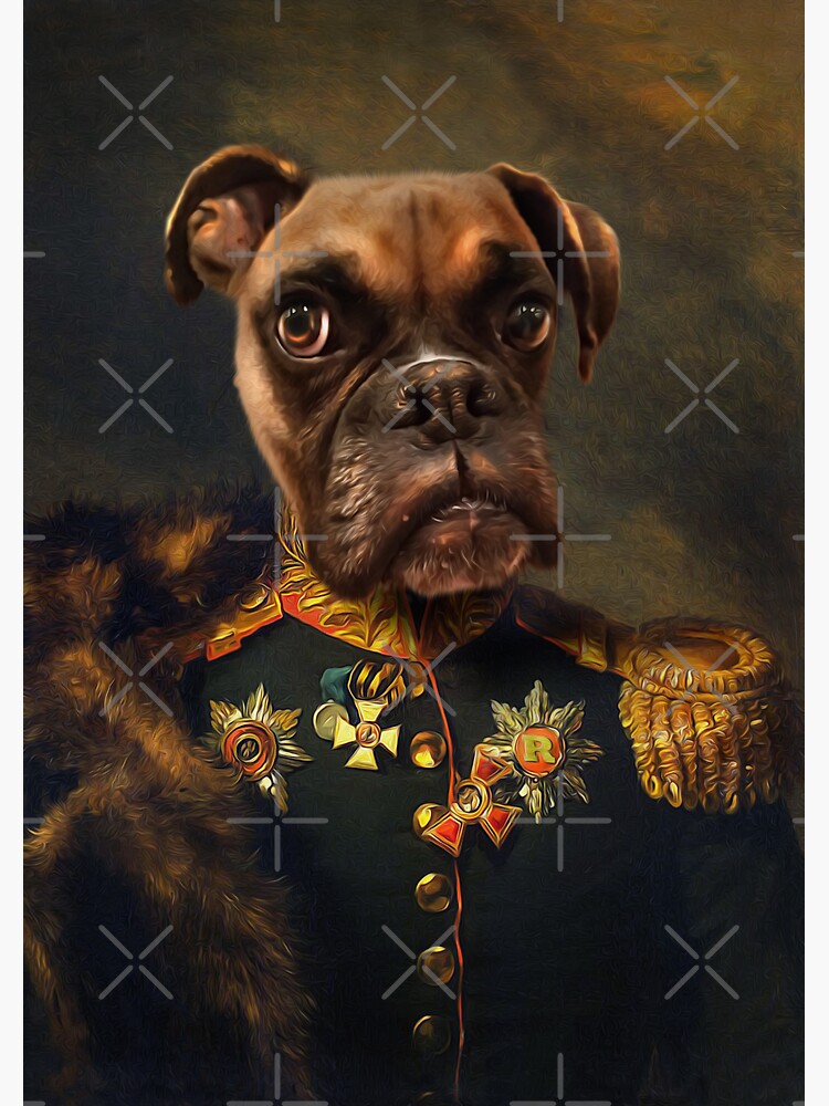 Boxer Dog Portrait - Rocky by carpo17