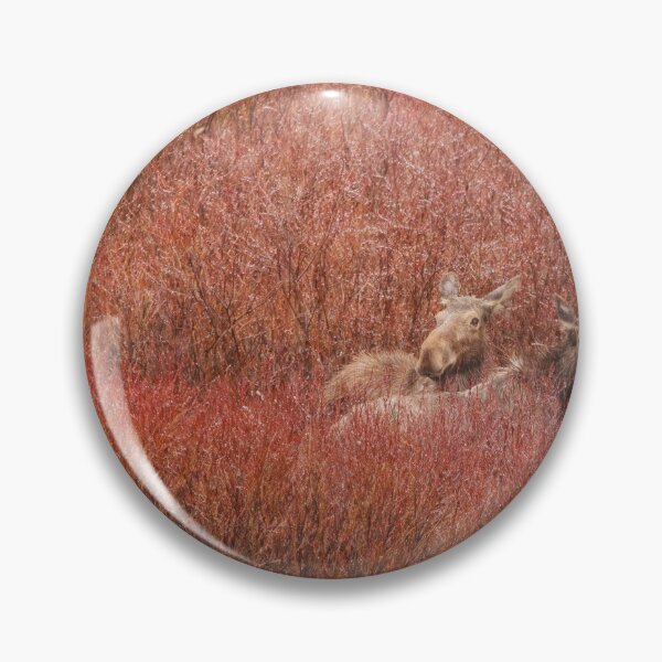Item preview, Two Moose in Red designed and sold by Alyce Taylor.