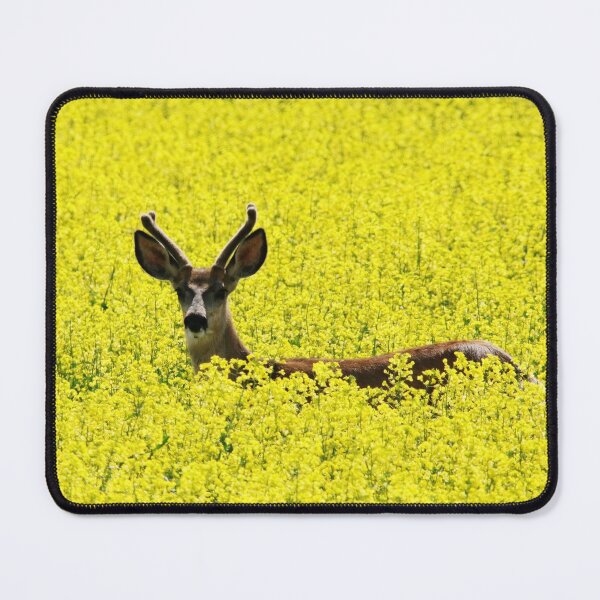 Item preview, Deer in the Canola Field designed and sold by Alyce Taylor.