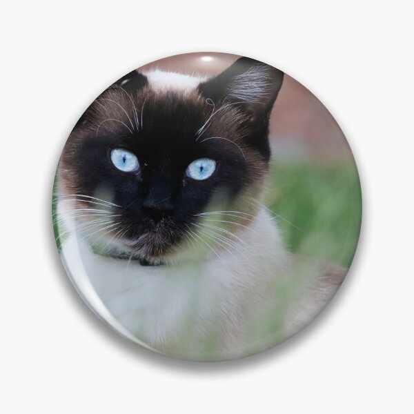 Item preview, Sassy designed and sold by Alyce Taylor.