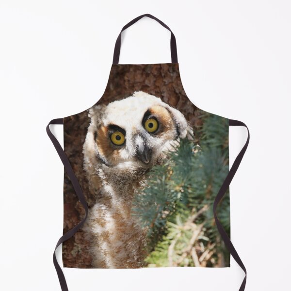 Item preview, Inquisitive Owlet designed and sold by Alyce Taylor.