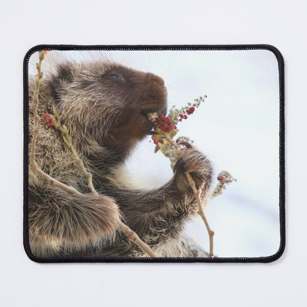 Item preview, This one is E X Q U I S I T E! designed and sold by Alyce Taylor.