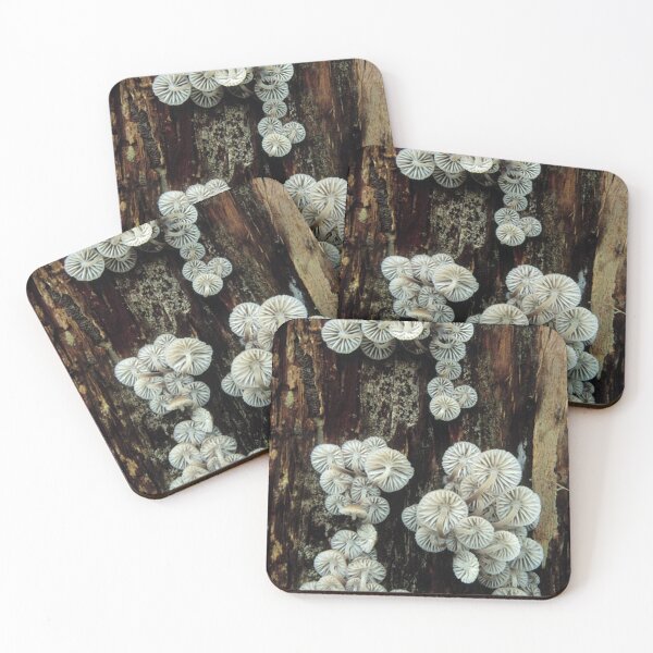 Item preview, Mycena Fungi II designed and sold by franklinanton.