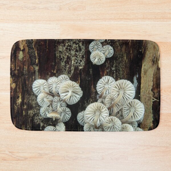Item preview, Mycena Fungi II designed and sold by franklinanton.
