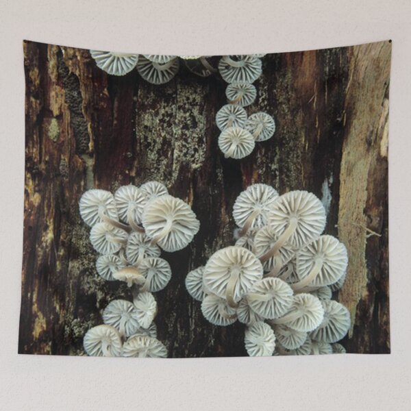 Item preview, Mycena Fungi II designed and sold by franklinanton.