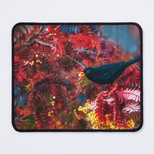 Item preview, Autumn Blackbird  designed and sold by Alisonchambers2.