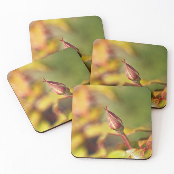 Item preview, Rose Bud With In Spring  designed and sold by Joy Watson - Natural Light Photography .