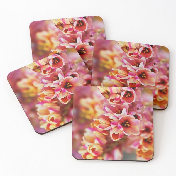 Item preview, The Bright African Corn Lilies designed and sold by Joy Watson - Natural Light Photography .