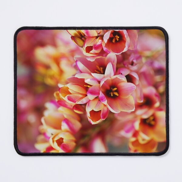 Item preview, The Bright African Corn Lilies designed and sold by Joy Watson - Natural Light Photography .