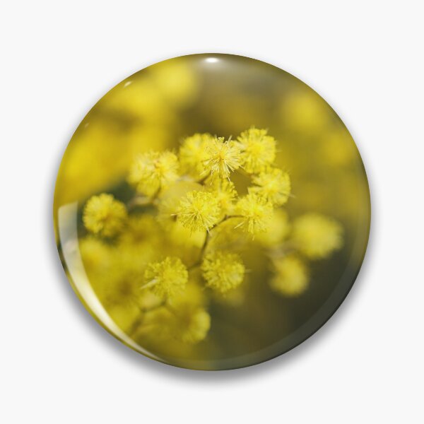 Item preview, Australian Wattle Tree Golds designed and sold by Joy Watson - Natural Light Photography .