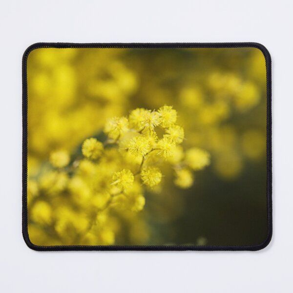 Item preview, Australian Wattle Tree Golds designed and sold by Joy Watson - Natural Light Photography .