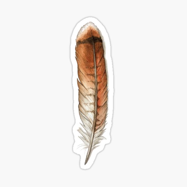 Hawk Feather Stickers for Sale  Redbubble
