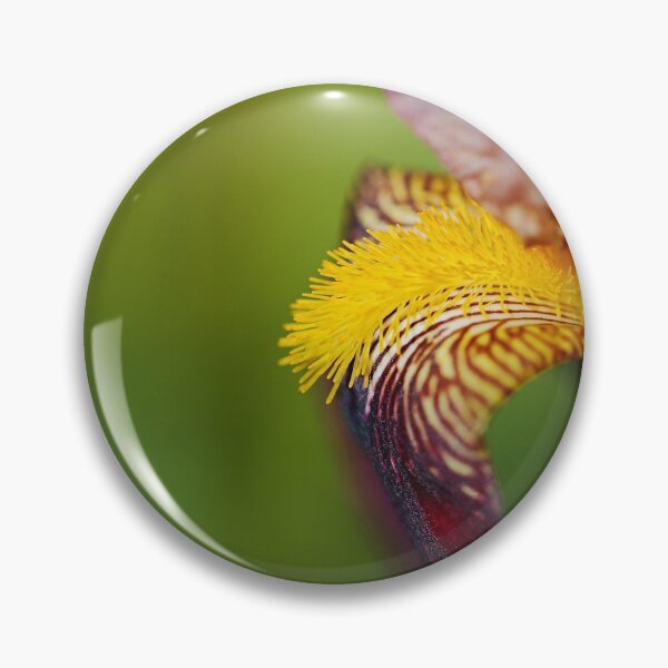 Item preview, Puppy Dog Ear Bearded Iris designed and sold by Joy Watson - Natural Light Photography .
