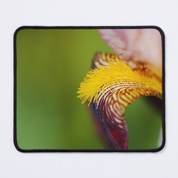 Item preview, Puppy Dog Ear Bearded Iris designed and sold by Joy Watson - Natural Light Photography .