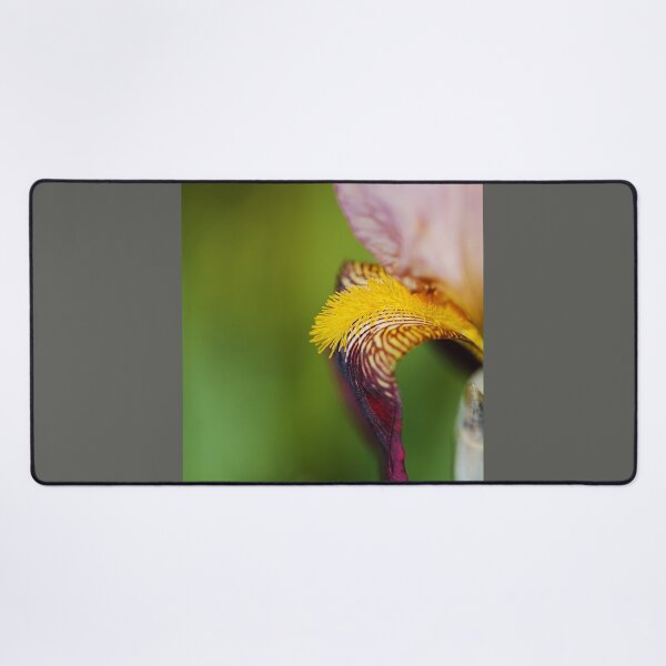 Item preview, Puppy Dog Ear Bearded Iris designed and sold by Joy Watson - Natural Light Photography .