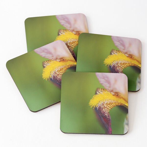 Item preview, Puppy Dog Ear Bearded Iris designed and sold by Joy Watson - Natural Light Photography .