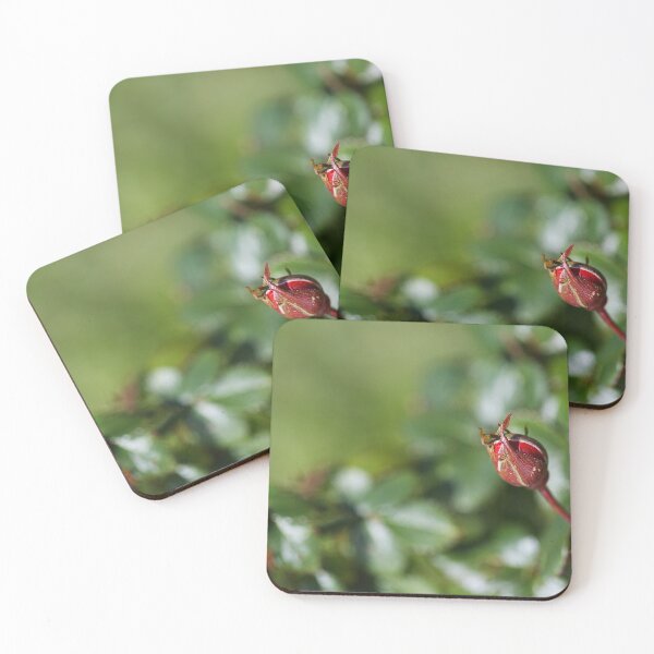 Item preview, A Rose Buds View designed and sold by Joy Watson - Natural Light Photography .