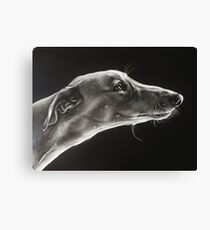 Fascination (detail) Canvas Print