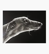 Fascination (detail) Photographic Print