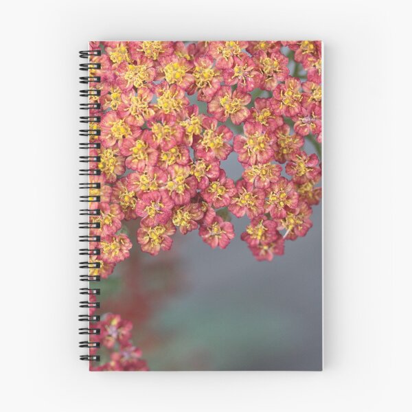 Item preview, Floral designed and sold by Anne Staub.