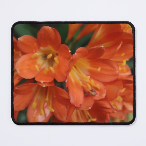 Item preview, Orange Florals designed and sold by Nira Dabush.