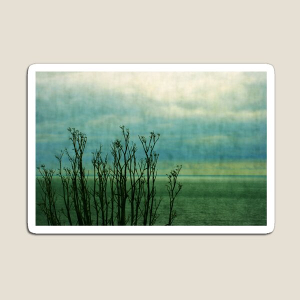 Beyond the shore Magnet