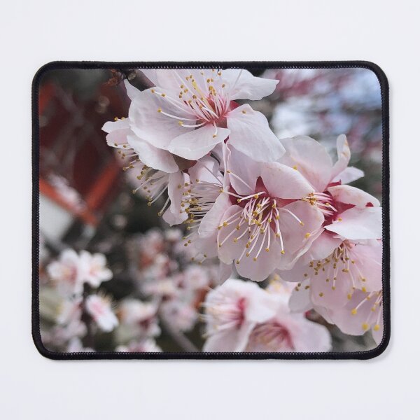 Item preview, Pink Blossom designed and sold by Shinzan2019.
