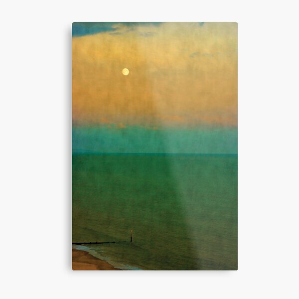 Moon Metal Print