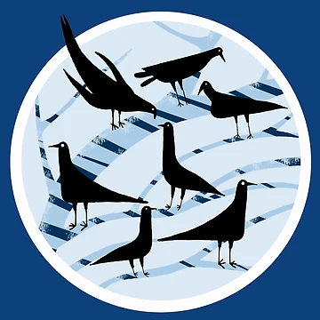 Artwork thumbnail, Crows by Andrew Hitchen