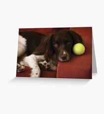 English Springer Spaniel Greeting Card