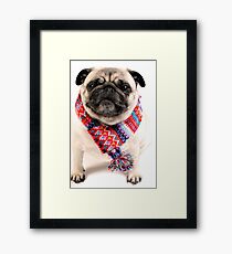 I AM PUG..... in scarf... Framed Print