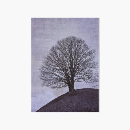 Artikel-Vorschau von Baum, designt und verkauft von Anne Staub.