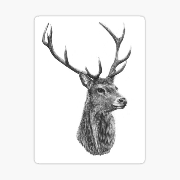 Cernunnos - Stag Portrait Sticker