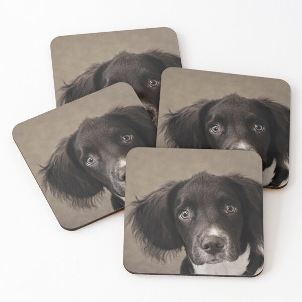 Item preview, Springer Spaniel designed and sold by Anne Staub.