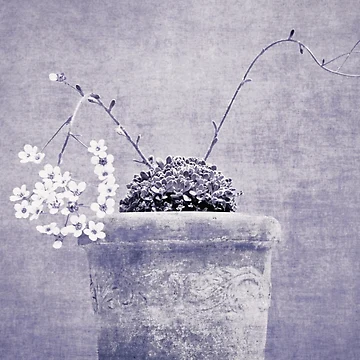 Artwork thumbnail, Flowers by Anne Staub