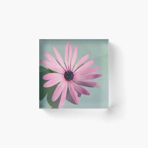 Item preview, Lomo Pink Daisy designed and sold by webgrrl.