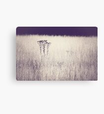 Nature Canvas Print