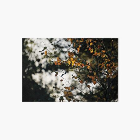 Artikel-Vorschau von Die letzten Tage des Herbstes, designt und verkauft von Anne Staub.